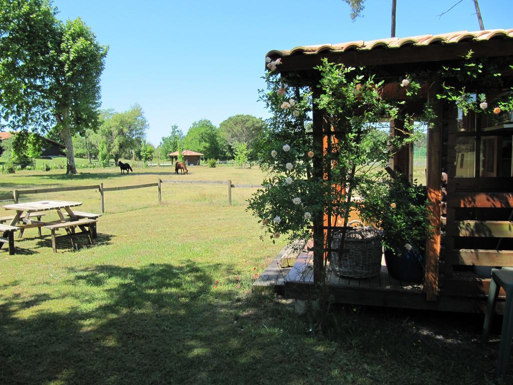 Gite Foret Landaise Sainte-Eulalie-en-Born Buitenkant foto