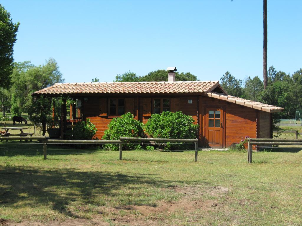 Gite Foret Landaise Sainte-Eulalie-en-Born Buitenkant foto